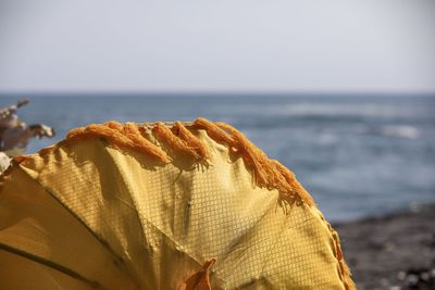 Close-up of rock on beach against sky