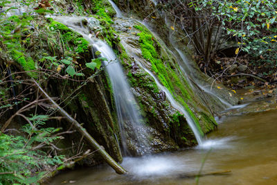 Scenic view of waterfall in forest