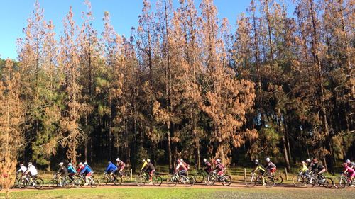 People walking on grassy field