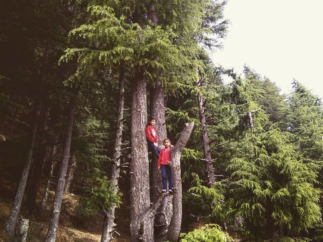 WOMAN STANDING IN FOREST