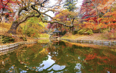 Scenic view of lake by trees during autumn