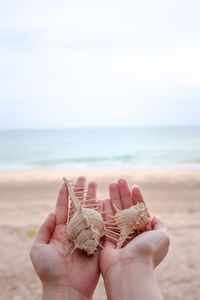 Midsection of person holding sand at beach against sky