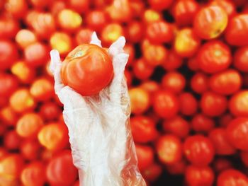 Full frame shot of tomatoes