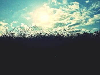 Scenic view of field against sky at sunset