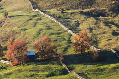 High angle view of trees on field during autumn