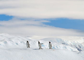 People skiing on snow covered mountain