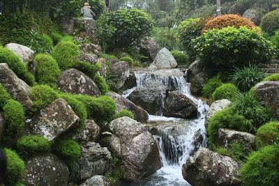 Scenic view of waterfall