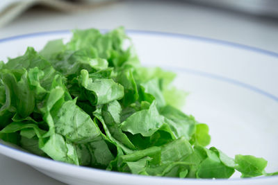 Close-up of chopped vegetables in bowl