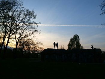 Silhouette of trees on field at sunset