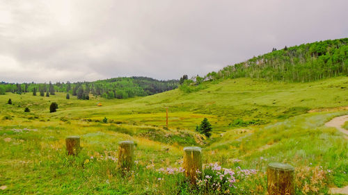 Scenic view of landscape against cloudy sky