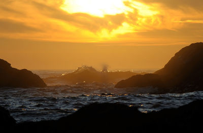 Scenic view of sea at sunset