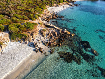 Aerial view of a beautiful beach