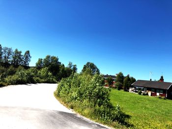 Trees and plants growing on field by road against sky