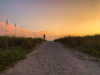 Scenic view of field against sky during sunset