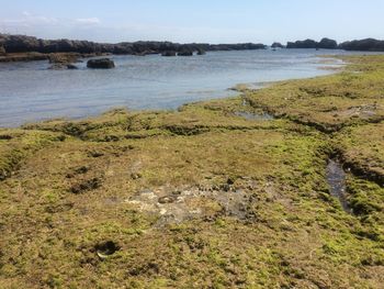 Scenic view of beach against sky
