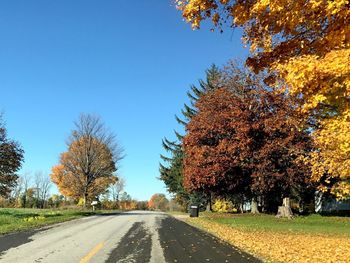 Road amidst trees against sky