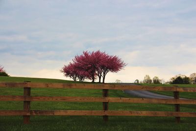 Fence on field against sky