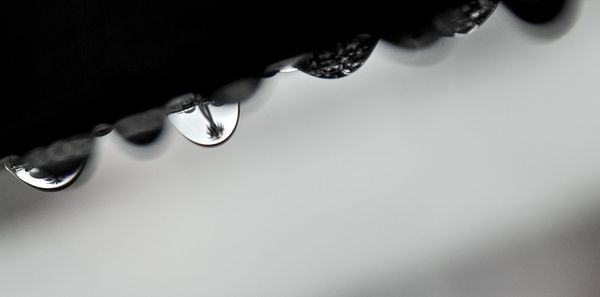 Close up of electric lamp