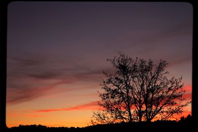 Silhouette of bare tree against sunset sky