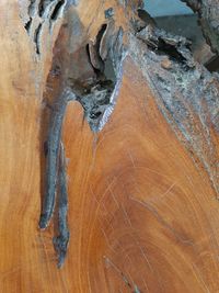 Full frame shot of wood on rock