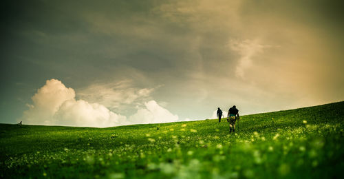 Surface level view of hikers hiking on grassy hill