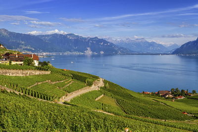 Lavaux region by day in vaud, switzerland, hdr