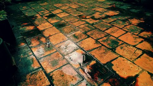 Close-up high angle view of cobblestone