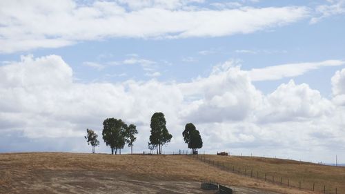 Panoramic view of trees on field against sky