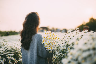 Rear view of young woman holding flowers while standing against clear sky during sunset