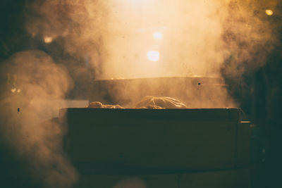 Close-up of chinese dumplinhs baked on food market.