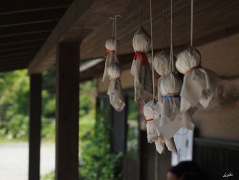 Clothes drying on clothesline