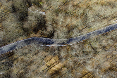 Aerial view of road amidst forest