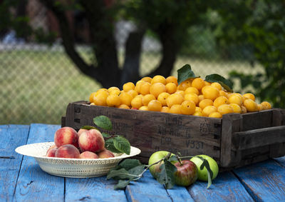 Fruits in container on table