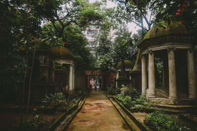 Footpath amidst buildings against trees