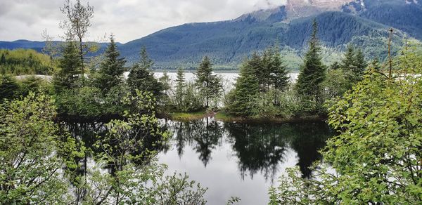 Reflection of trees in lake against sky