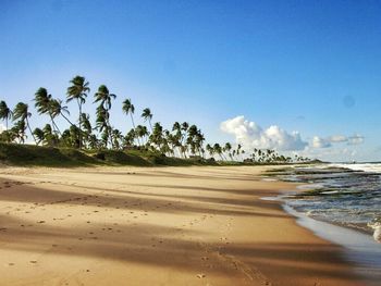 Scenic view of beach against blue sky