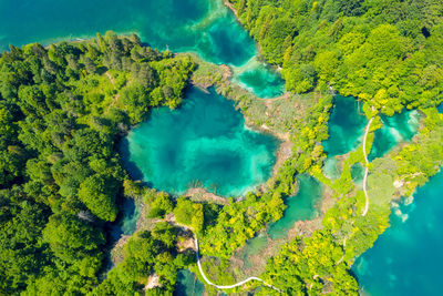 Scenic view of waterfall