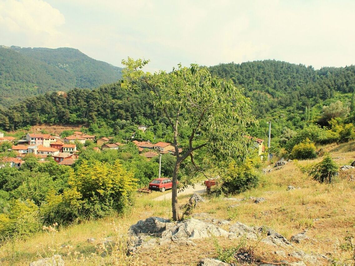 tree, mountain, tranquility, tranquil scene, green color, growth, landscape, nature, scenics, beauty in nature, sky, house, lush foliage, hill, built structure, non-urban scene, plant, day, mountain range, idyllic