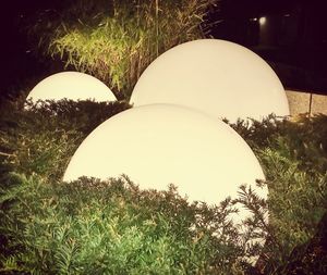 Close-up of grass against moon at night