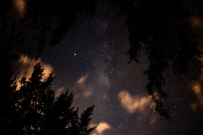 Low angle view of silhouette trees against sky at night