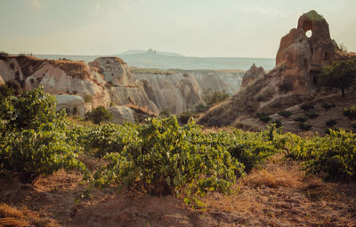 View of rock formations