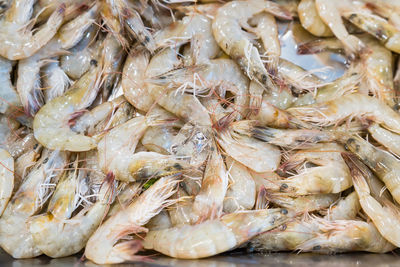 Full frame shot of fish for sale in market