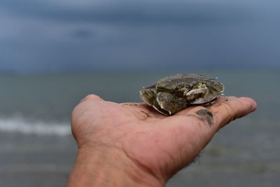 Close-up of hand holding rock against sea