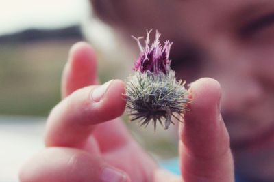 Close-up of hand holding flower