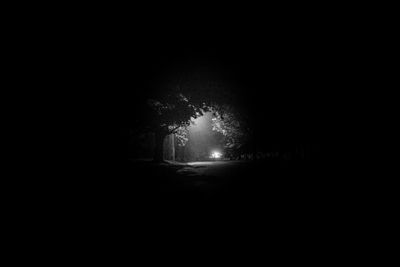 Silhouette trees on road at night