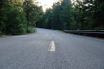 Road amidst trees in forest