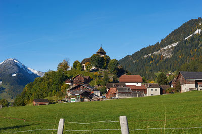 Scenic view of grassy field against blue sky