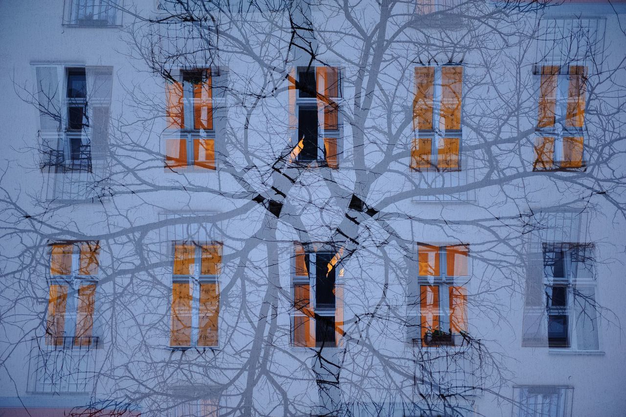 The Architect - 2014 EyeEm Awards