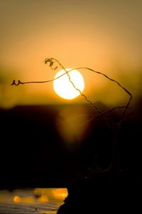 Light bulb against sky at sunset