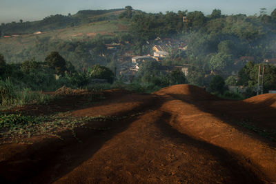 Dirt road passing through landscape pattern